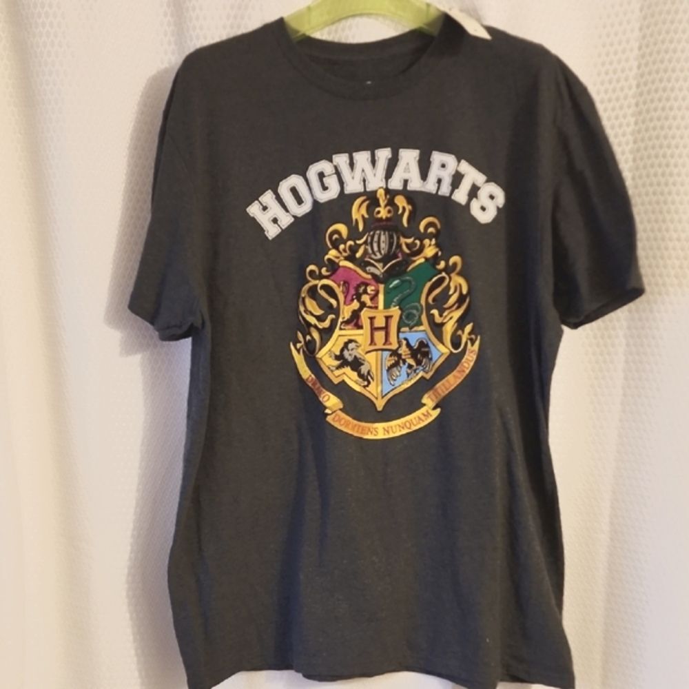 Harry Potter Hogwarts Adult Gray T-Shirt Size L